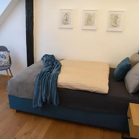 Apartment Penthouse Mit Altstadtflair Graz