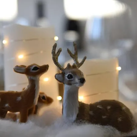 Penthouse Mit Altstadtflair Apartmán