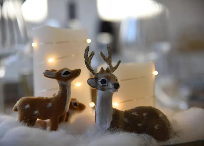 Penthouse Mit Altstadtflair Apartamento